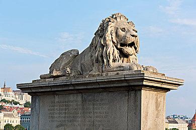 暴雪前总裁非常期待《艾尔登法环》DLC：每天想十次